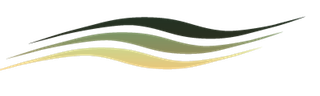 triple swoosh
